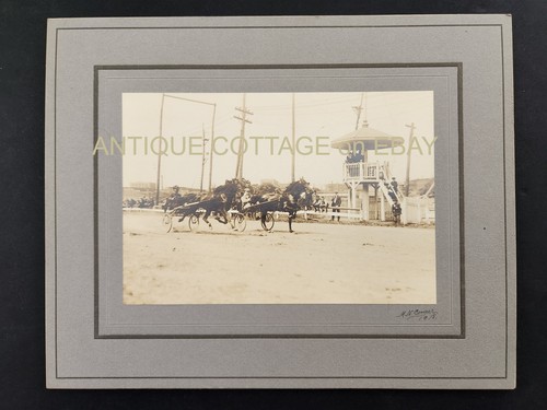 1918 antique sulky - antique, horse