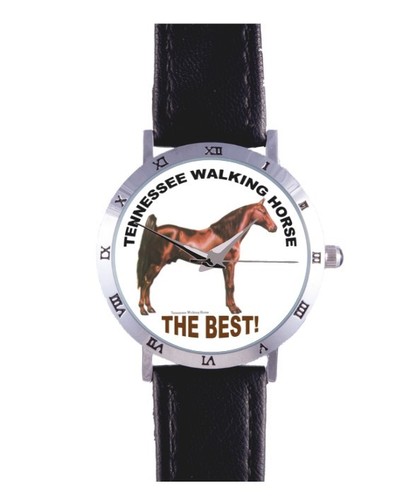 Tennessee walking horse - walking,