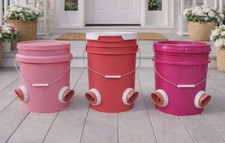 Pink Gravity Chicken/Poultry