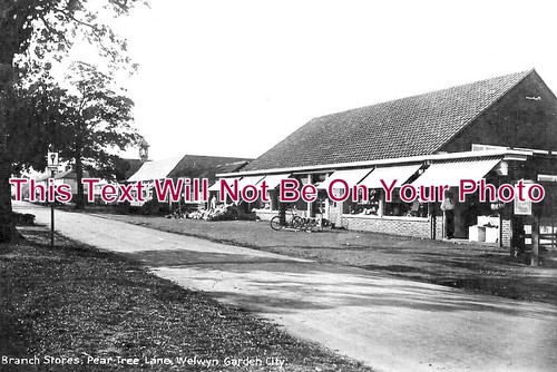 1899 branch stores pear - 1899, stores,