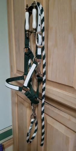 New nylon halter foal - halter,
