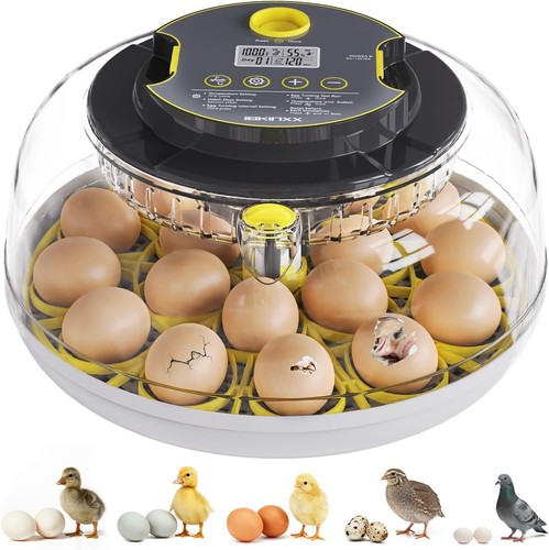 Ibkinxx incubator for hatching - ibkinxx,