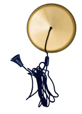 Brushed Brass Bathroom ceiling