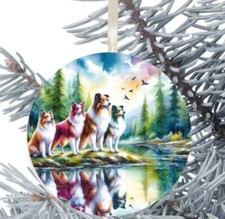 Rough Collie Dog Hanging