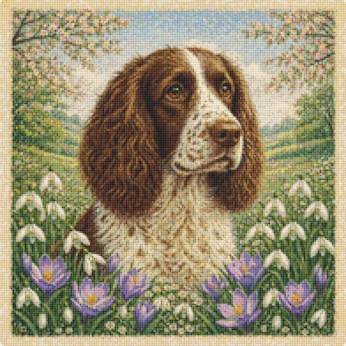 Sprocker puppy dog spring - dog,