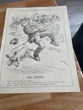 Punch cartoon 1920 the experts - cartoon,