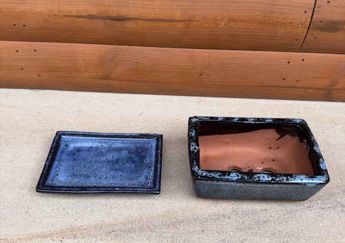 Bonsai pot and tray - bonsai,