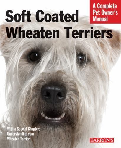 Soft coated wheaten terriers - soft,