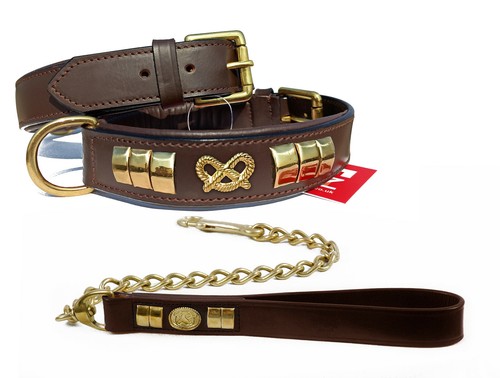 Staffy leather dog - dog, +