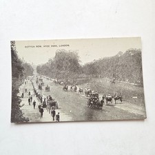 Rotten Row Hyde Park Horse