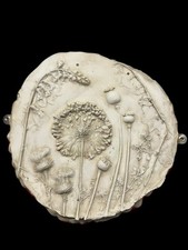 The Power Of The Flower By Dianne Hurrell 2020 Plaster Of Paris Hanging Sculptur