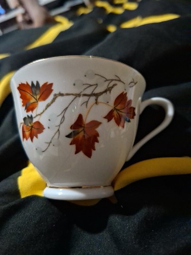 Delphine fine bone china - bone,
