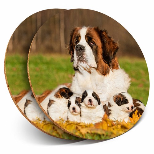 Coasters st bernard - 2,