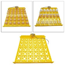 36/156 Eggs Incubator