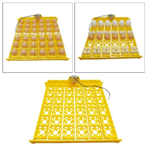 156 eggs incubator - 36/156,