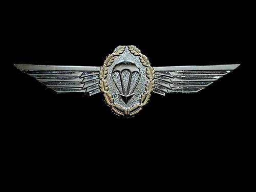 German military master jump - master,