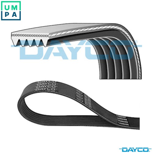 Vribbed belt 5pk1165 - 5pk1165, for