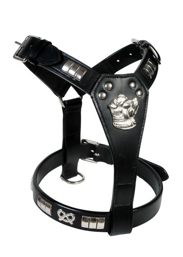 Staffy leather designer dog - leather,