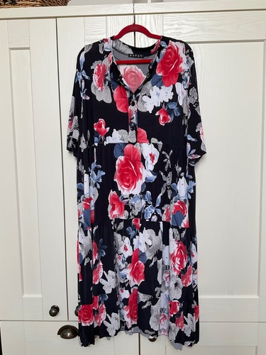 Bnwot rafey maxi idi - bnwot, dress