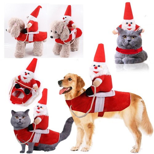 Christmas santa claus riding - christmas,