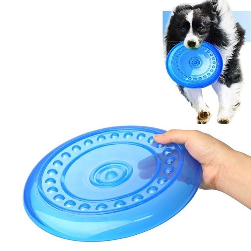 Dog frisbee flying - flying, disc