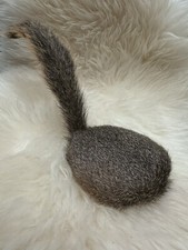 Taxidermy Squirrel Coaster
