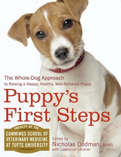 Puppy first steps the - steps:,
