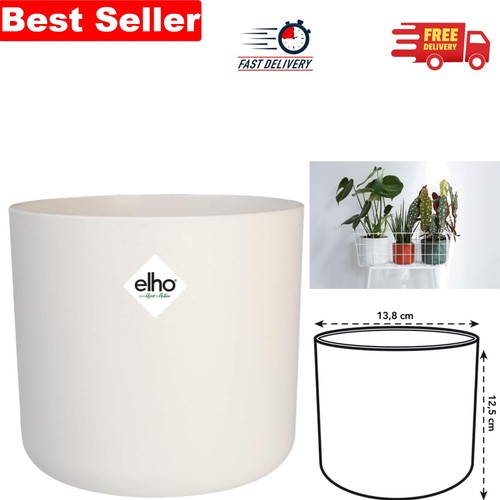 Modern round 14cm indoor plant - modern,