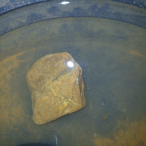 Gold ore agate rock - agate, stone