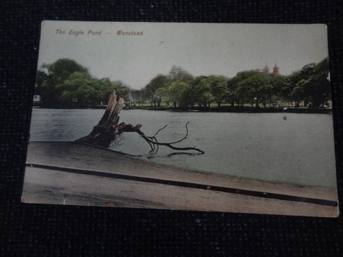 The eagle pond - eagle,
