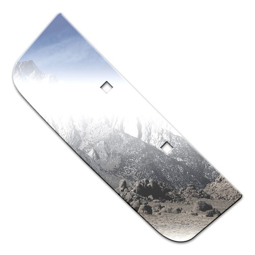 Luxury chrome license plate - luxury, fx