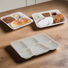 Disposable Food Plates