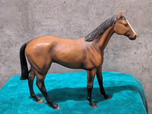 Thoroughbred bay horse - bay,
