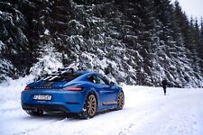 TreeFrog Car Top Ski & Snowboard Carrier Roof Rack Suction Vacuum Mounted