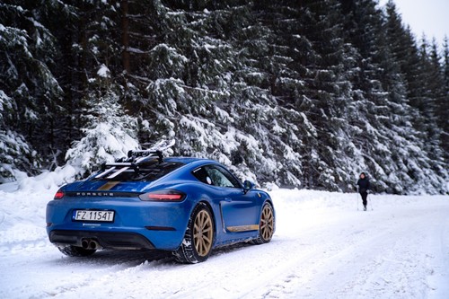 Treefrog car top ski - treefrog, &