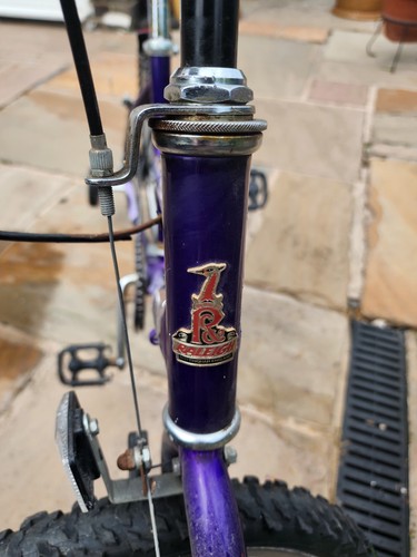 Kids raleigh bike - kids, 20