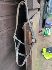 Leather Headcollar, Foal