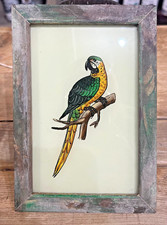Indian Parrot  Vintage Reverse Glass Painting in Bold Colors - 17 X 12 cm