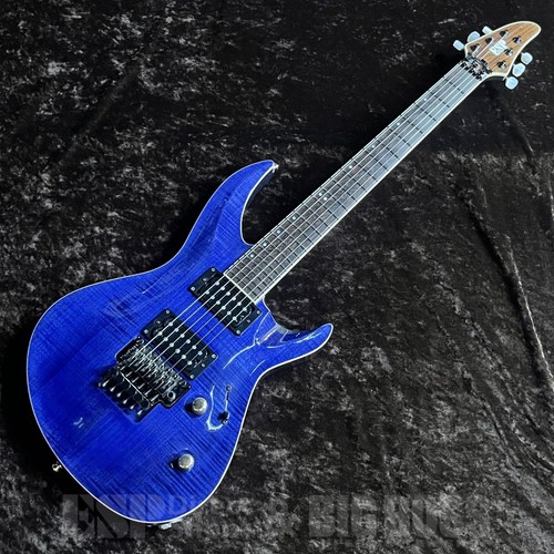 Esp custom order horizon - esp,