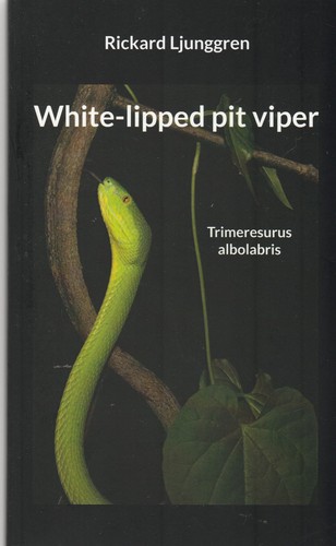 White lipped pit - white-lipped, viper
