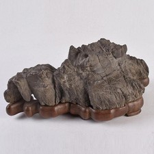 Suiseki Viewing Stone Bonsai