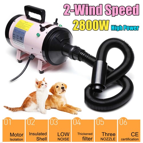 Upgrade 2800w pet - upgrade,