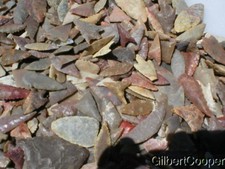 100 COLORFUL NEOLITHIC