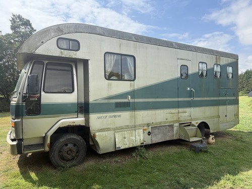 Horse box conversation - horse,