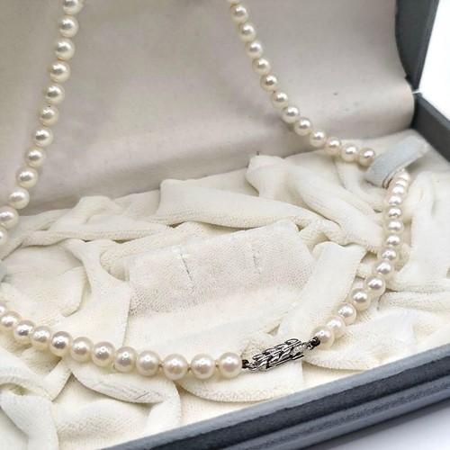 21748 akoya pearl - akoya,