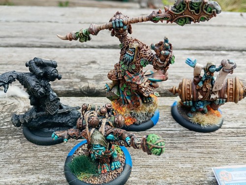 Trollbloods hoarluk doomshaper - hoarluk,