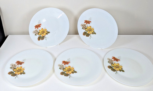 Jaj pyrex autumn - -,