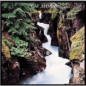 Cat stevens back - cat, :