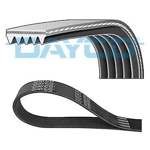 Dayco 5pk880 ribbed belt for - v-ribbed,