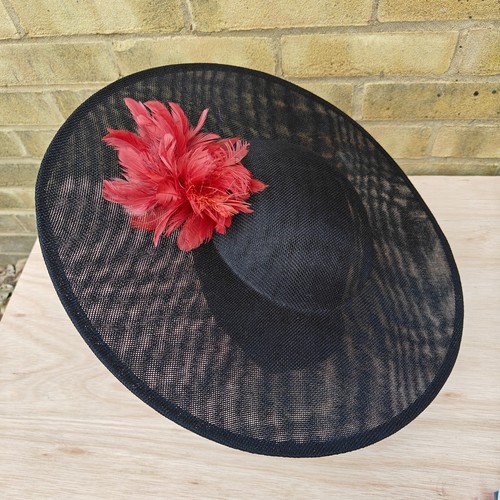 Black dark red - dark, feather